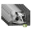 Varken - Schattig - Spaghetti - Zwart wit - Dier Placemat vinyl groot -zzsfeer3_Kitchenyeah-website