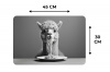 Alpaca - Pasta - Zwart - Wit - Grappig - Dieren Placemat vinyl groot -specs