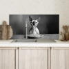 Sphynx - Kat - Dieren - Humor - Spaghetti - Zwart Wit Spatscherm Aluminium klein -sfeer2