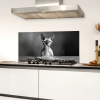 Sphynx - Kat - Dieren - Humor - Spaghetti - Zwart Wit Spatscherm Aluminium klein -sfeer4