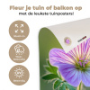 Bloem - Close up - Paars tuinposter los doek klein -sfeer2