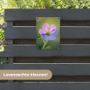 Bloem - Close up - Paars tuinposter los doek klein -sfeer3