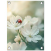 Lieveheersbeestje - Bloemen - Wit tuinposter los doek klein -3d