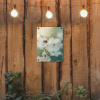 Lieveheersbeestje - Bloemen - Wit tuinposter los doek klein -sfeer1