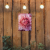 Dahlia - Bloem - Close up - Roze tuinposter los doek klein -sfeer1