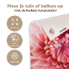 Dahlia - Bloem - Close up - Roze tuinposter los doek klein -sfeer2