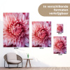 Dahlia - Bloem - Close up - Roze tuinposter los doek klein -sfeer9