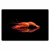 Kreeft - Oranje - Zwart - Opvallend Placemat vinyl groot -zzsfeer1_Kitchenyeah-website