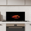 Kreeft - Oranje - Zwart - Opvallend Spatscherm Aluminium klein -sfeer1