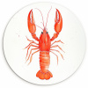 Kreeft - Waterverf - Aquarel - Oranje KitchenYeah - Keuken - Wandcirkel Forex klein -3d