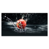 Tomaten Symfonie in Water Spatscherm Aluminium klein -3d_volledig