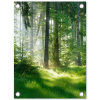 Zonnestralen in een groen bos tuinposter los doek klein -3d