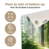Zonnestralen in een groen bos tuinposter los doek klein -sfeer2