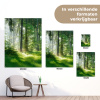 Zonnestralen in een groen bos tuinposter los doek klein -sfeer9