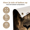 Leeuw in het schaduwlicht tuinposter los doek klein -sfeer2