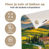 Toscane - Landschap - Wijngaarden tuinposter los doek klein -sfeer2
