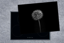 Herdabdeckplatte mit schwarzem Blumenmuster aus Löwenzahn