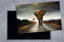 inductie beschermer met olifant op een weg in Afrika