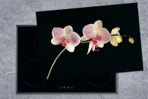 zwarte inductie beschermer met orchidee close up
