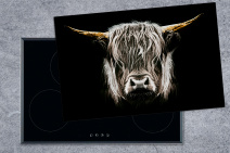 Schottisches Hochlandrind-Porträt in Schwarz-Weiß auf Induktionsschutz mit Kuh und Tieren