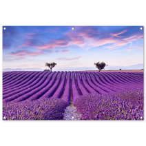 Tuinposter van een lavendelveld met paarse bloemen, bomen en andere bloemen op de achtergrond in de natuur.