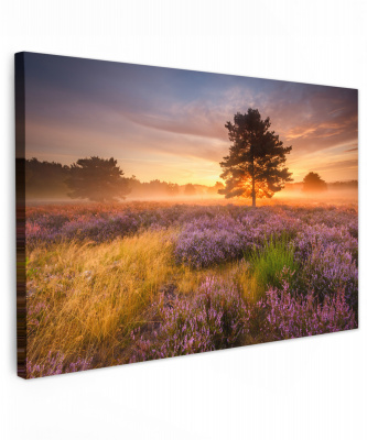 Canvas heidelandschap