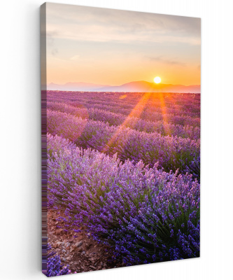 Canvas lavendel
