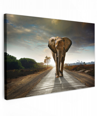 Canvas olifant loopt op de weg