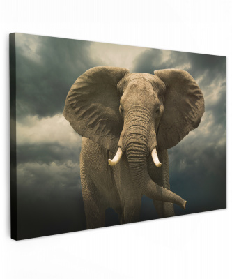 Canvas olifant donkere wolken
