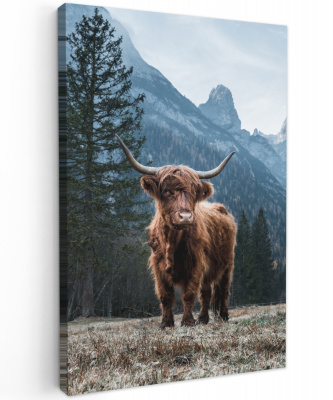 Canvas Schotse Hooglander Berg