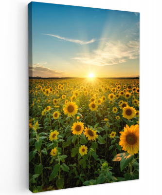 Canvas zonnebloemveld