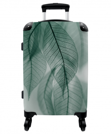 Koffer - Bladeren - Groen - Natuur - Stilleven