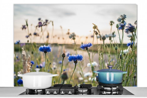 Spritzschutz Küche - Blumen - Sommer - Kornblume - Blau - Sonne - Wolken-1