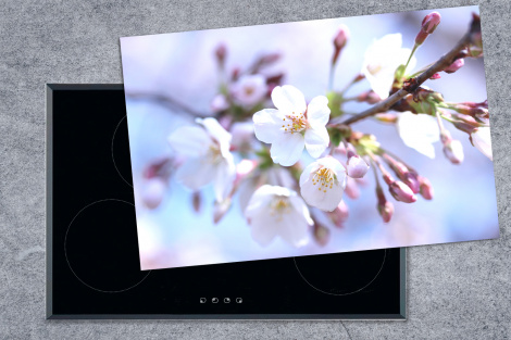 Herdabdeckplatte - Blumen - Sakura - Zweig - Blütendolden