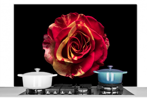 Spritzschutz Küche - Blume - Rose - Rot - Schwarz-thumbnail-1