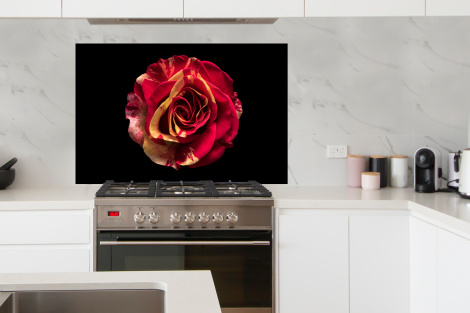 Spritzschutz Küche - Blume - Rose - Rot - Schwarz-4