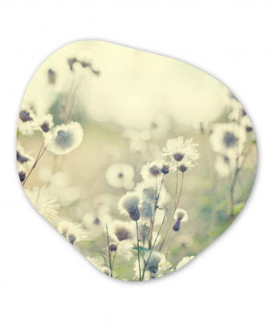 Organisches wandbild - Blumen - Feld - Weiß