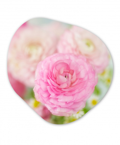 Organisch schilderij - Close-up van roze bloemen-1