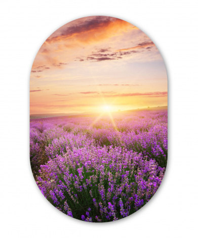 Wandoval - Lavendel - Sonne - Blumen