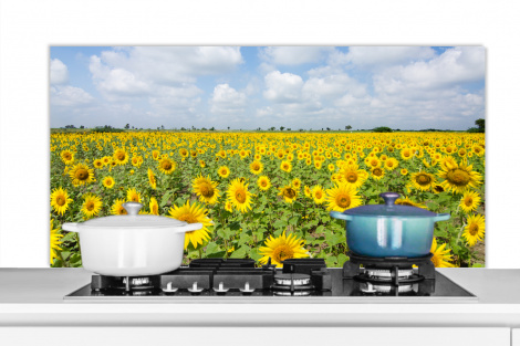 Spritzschutz Küche - Sonnenblumen - Blumen - Wolken - Natur - Gelb - Landschaft-thumbnail-1