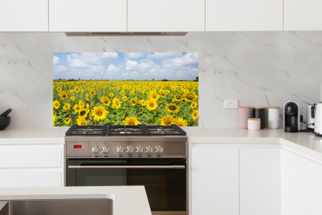 Spritzschutz Küche - Sonnenblumen - Blumen - Wolken - Natur - Gelb - Landschaft-thumbnail-4