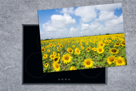 Herdabdeckplatte - Sonnenblumen - Blumen - Wolken - Natur - Gelb - Landschaft-thumbnail-1