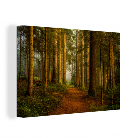 Leinwand - Wald - Natur - Bäume - Landschaft