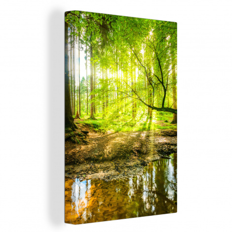 Leinwand - Wald - Landschaft - Wasser - Bäume - Sonne-thumbnail-1