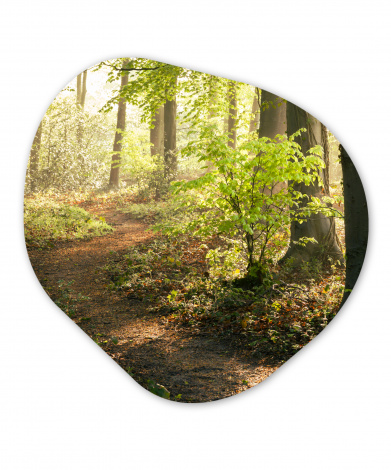 Organisches wandbild - Wald - Baum - Weg-thumbnail-1