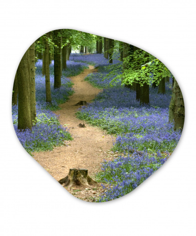 Organisches wandbild - Wald - Weg - Blumen - Blau-1