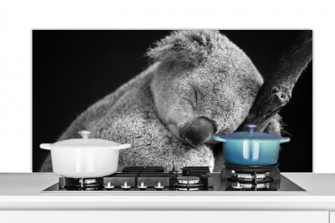 Spatscherm keuken - Slapende koala op zwarte achtergrond in zwart-wit-thumbnail-1