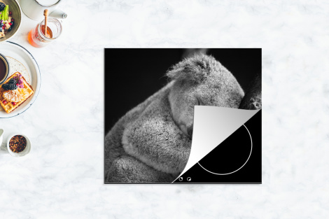 Inductiebeschermer - Slapende koala op zwarte achtergrond in zwart-wit-thumbnail-4