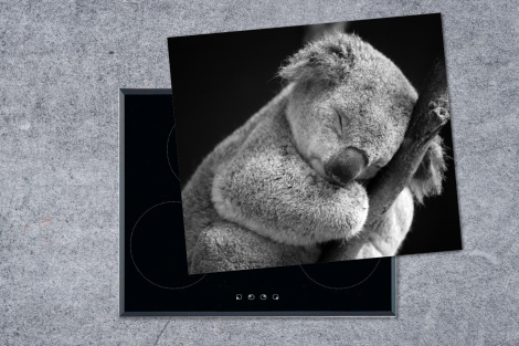 Inductiebeschermer - Slapende koala op zwarte achtergrond in zwart-wit-1