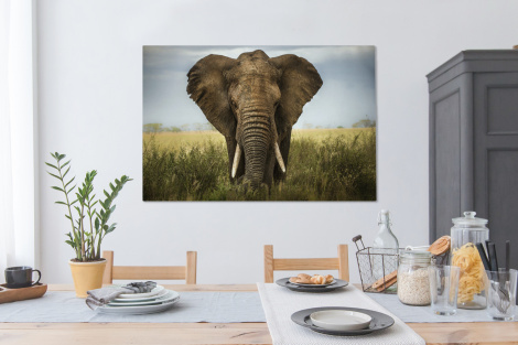 Canvas - Olifant - Natuur - Gras - Dieren-4